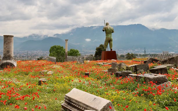 Ancient ruins and statue in a field of poppies, Pompeii with mountains in the background.