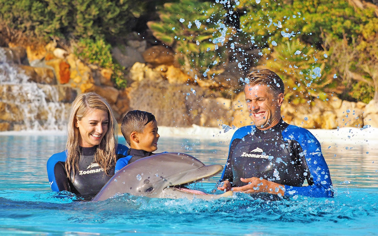 Visitors interacting with a dolphin at Zoomarine's Dolphin Emotions Experience.