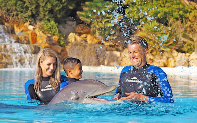 Visitors interacting with a dolphin at Zoomarine's Dolphin Emotions Experience.
