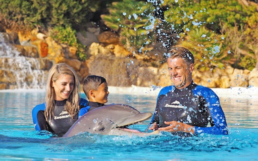 Visitors interacting with a dolphin at Zoomarine's Dolphin Emotions Experience.