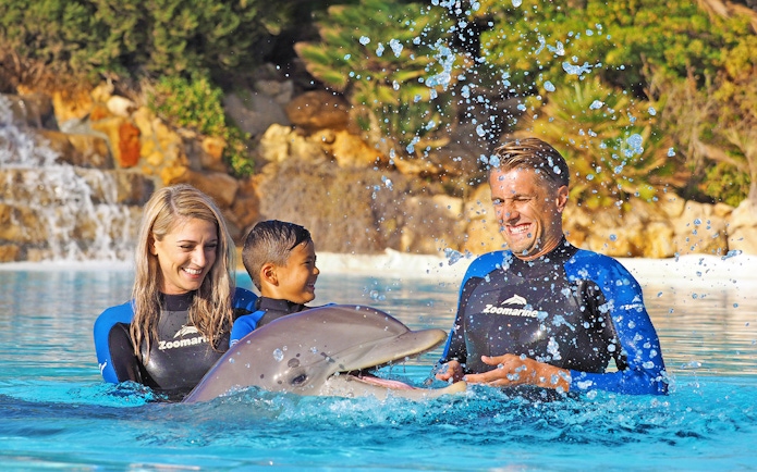 Visitors interacting with a dolphin at Zoomarine's Dolphin Emotions Experience.