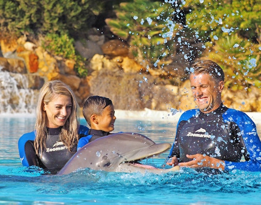 Visitors interacting with dolphins at Zoomarine, Albufeira, Portugal.