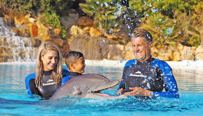 Visitors interacting with dolphins at Zoomarine, Albufeira, Portugal.