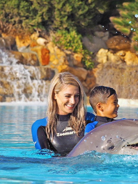 Visitors interacting with a dolphin at Zoomarine's Dolphin Emotions Experience.