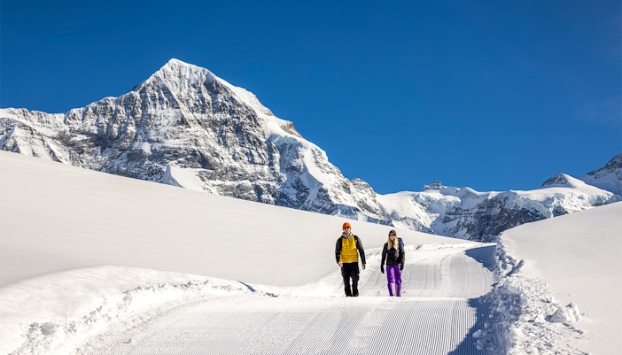 Hikers trekking snowy trails with views of Grindelwald's alpine landscape.