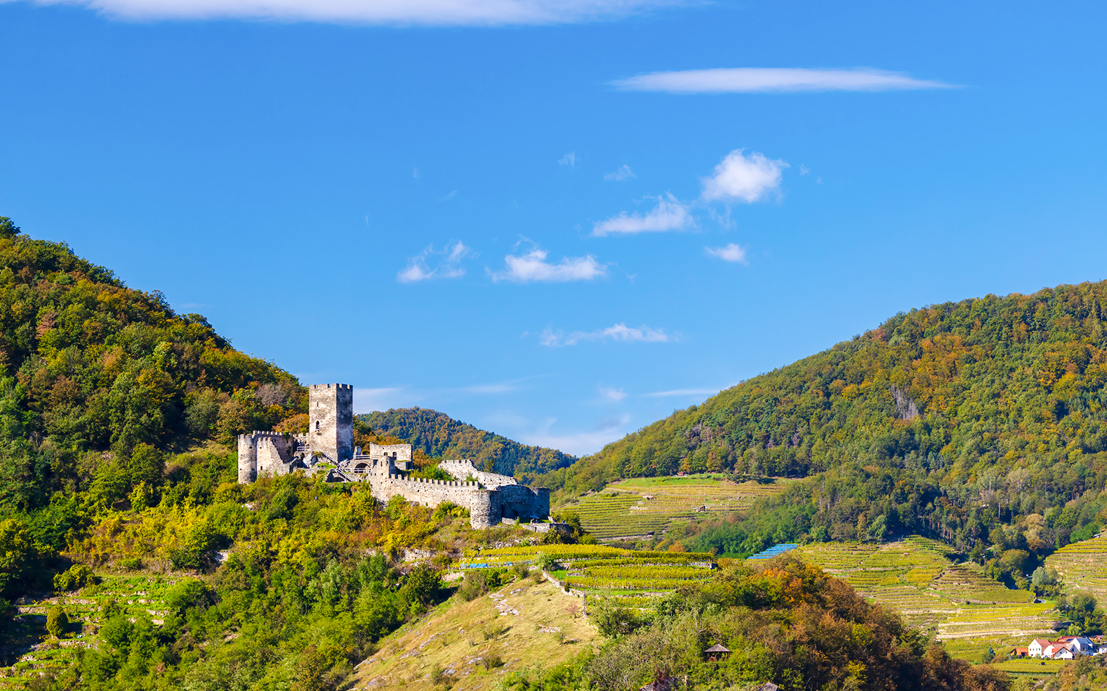 Hinterhaus slottsruiner
