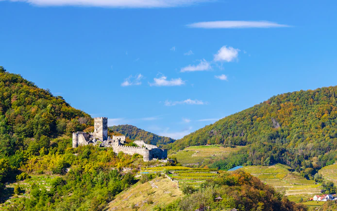 Hinterhaus castle ruins on a hill surrounded by lush greenery and vineyards.