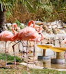Jardim Zoológico