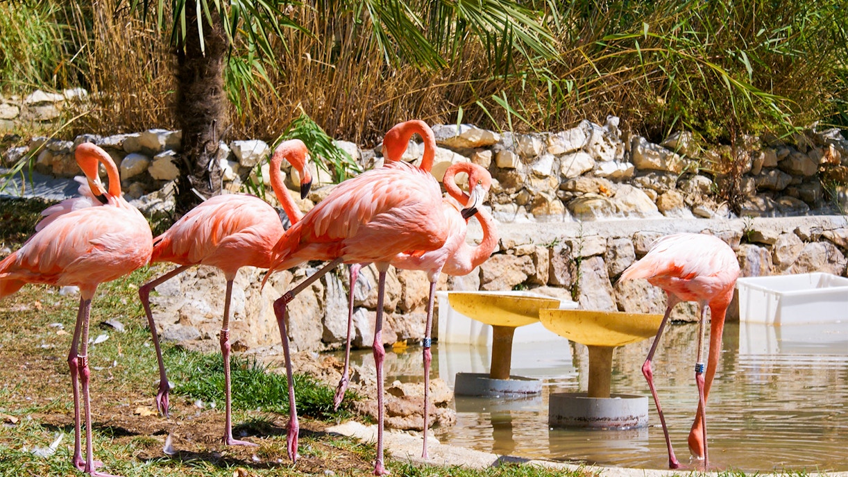Jardim Zoologico
