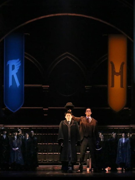 Stage scene from "Harry Potter and the Cursed Child" with house banners and cast.
