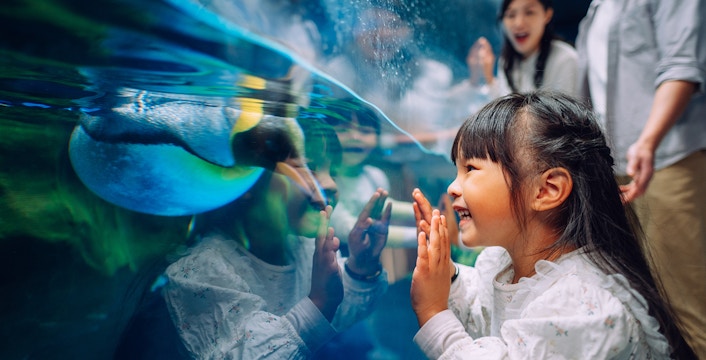 Billets pour Ocean Park Hong Kong