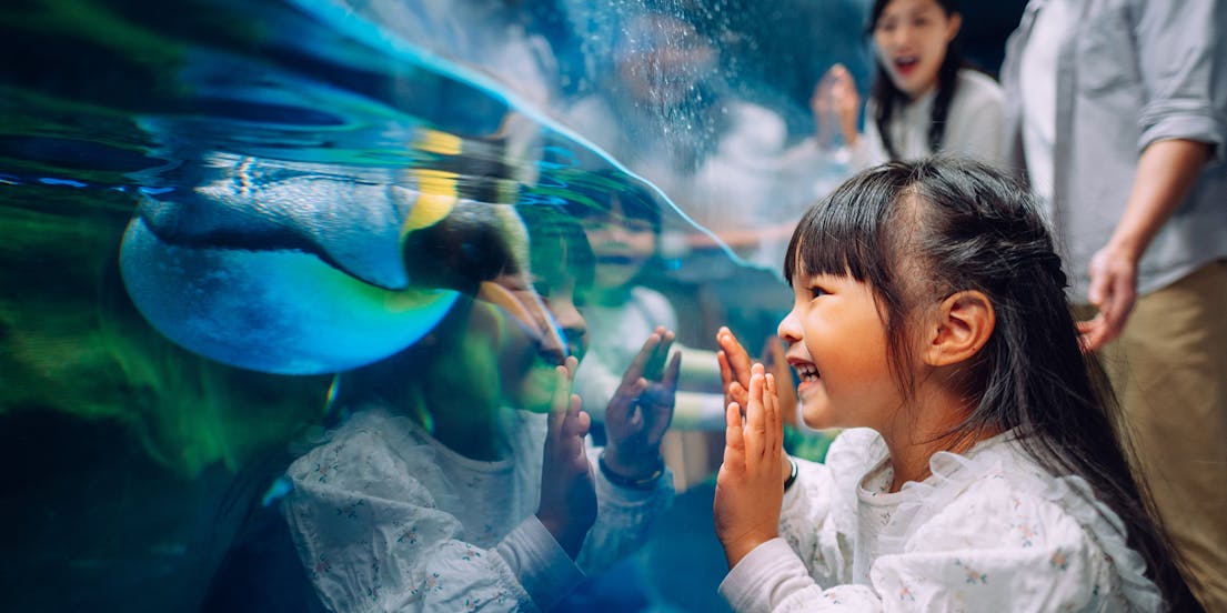 Hongkong Ocean Park Tickets