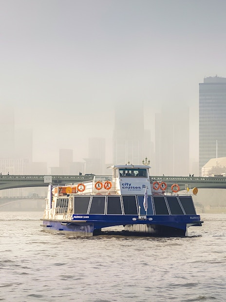 Cruise boat on the Thames River with Westminster Bridge and London skyline in the background.