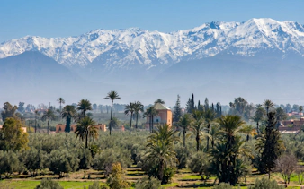 Palm trees and distant Atlas Mountains in Marrakech palm grove.