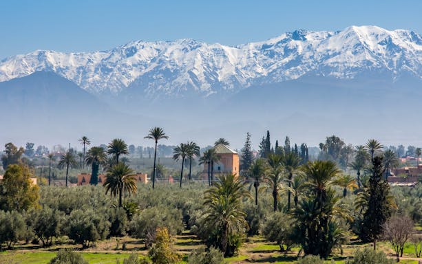 Palm trees and distant Atlas Mountains in Marrakech palm grove.