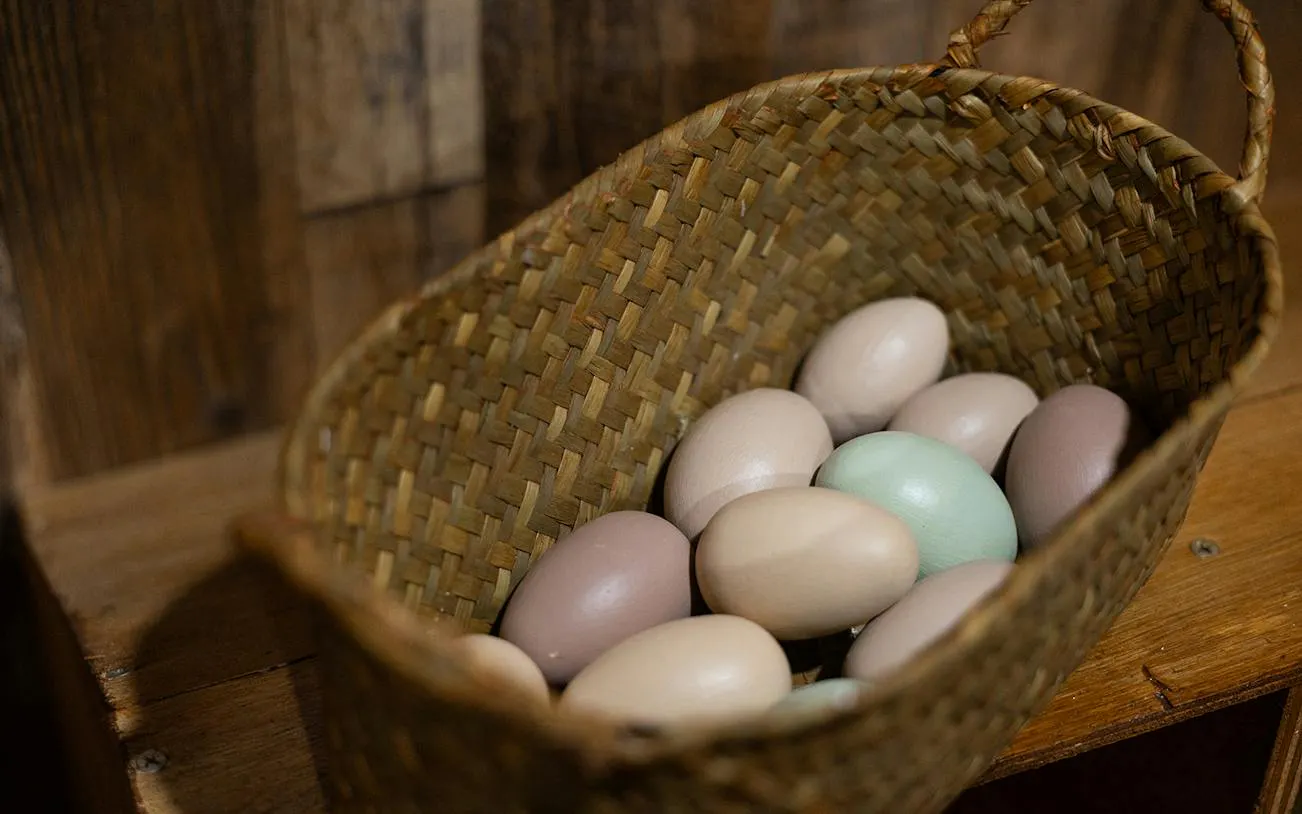Woven basket with colorful eggs, part of Brisbane's Escape Room Premium 1-Hour Animal Tour.