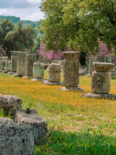 Ancient stone columns at the archaeological site of Olympia, Greece, surrounded by spring flowers.