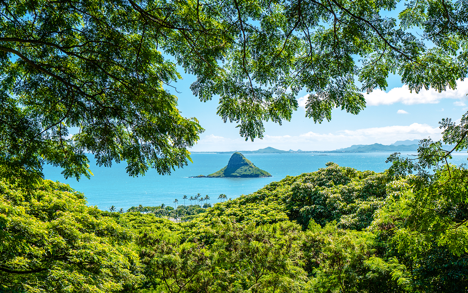 Chinaman's Hat island view from Kualoa Ranch, Hawaii, framed by lush greenery.