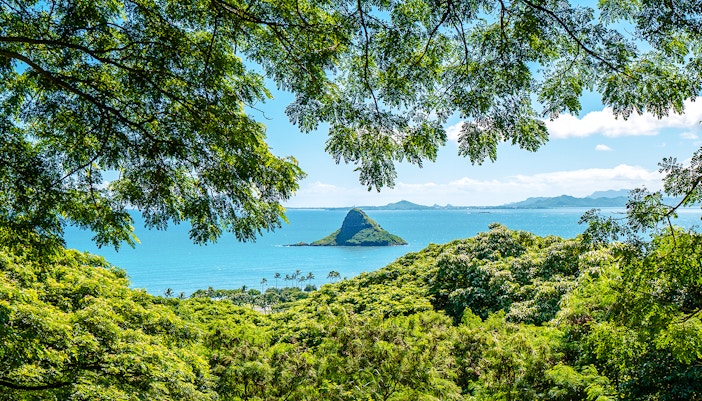 Chinaman's Hat island view from Kualoa Ranch, Hawaii, framed by lush greenery.