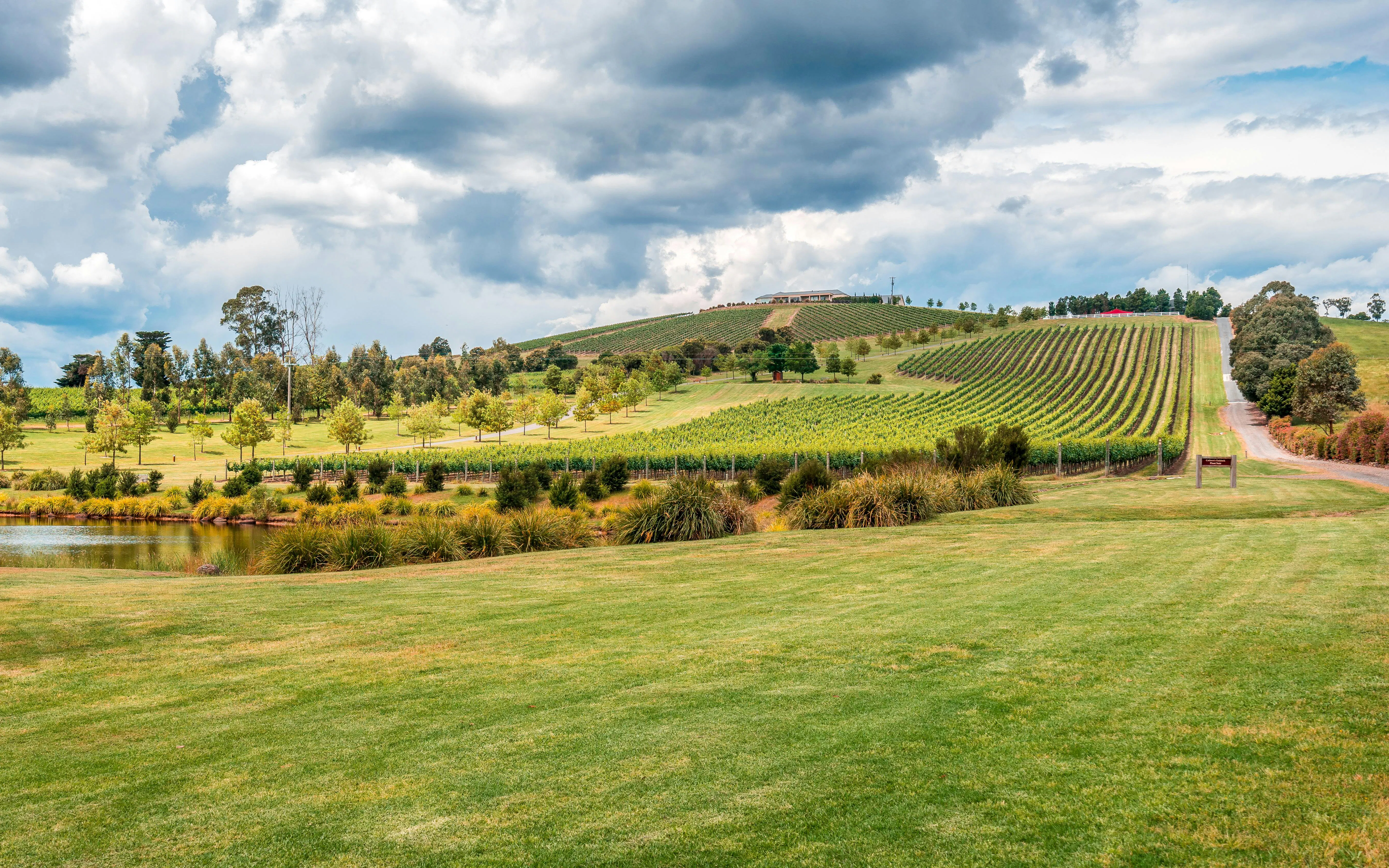 Vineyards and rolling hills at Yarra Valley Winery, Australia.