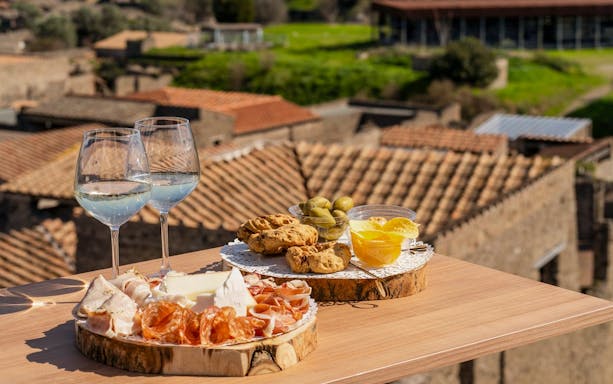 Tasting experience with wine and snacks overlooking ancient Roman city of Pompeii.