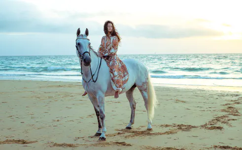 Horseback rider on Dubai beach at sunset.