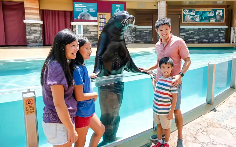 Family interacting with a sea lion at SeaWorld Orlando.