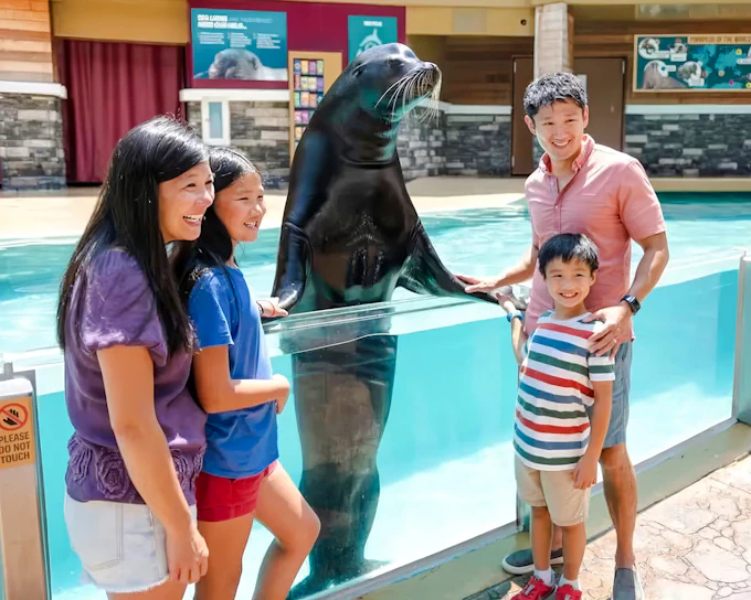 SeaWorld Orlando Fun Cards 2026