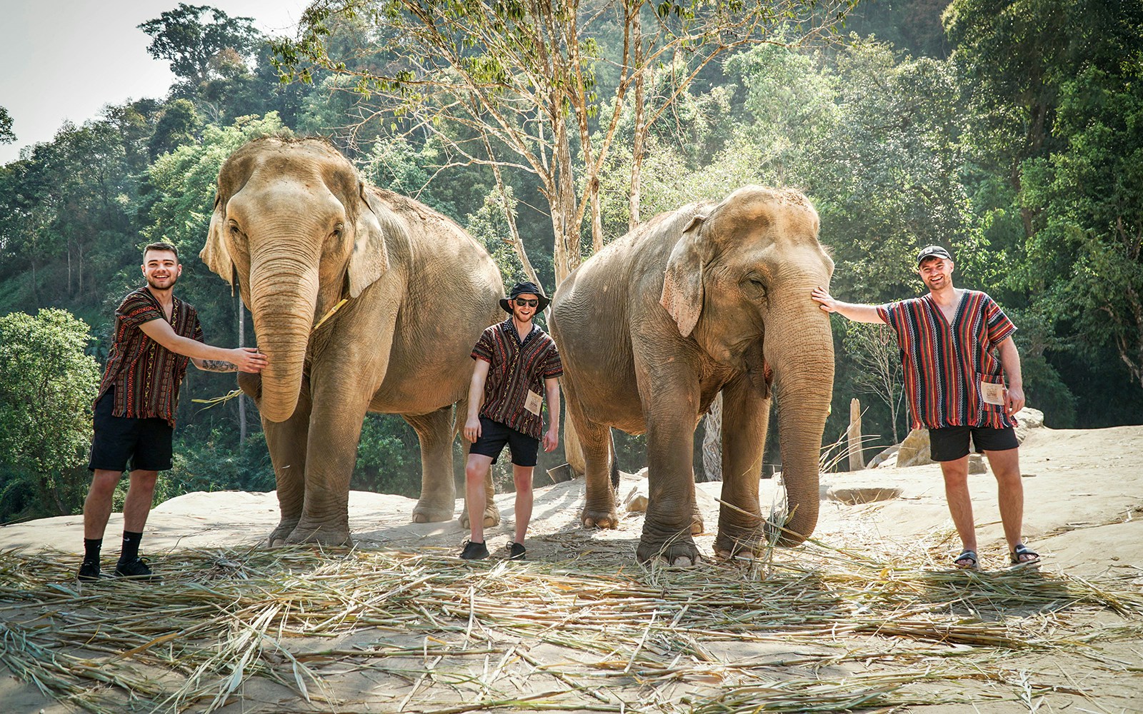 Tourists with elephants at Elephant Jungle Sanctuary, surrounded by forest.