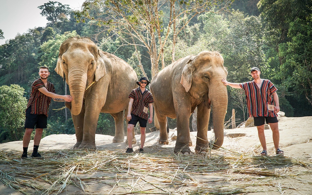 Tourists with elephants at Elephant Jungle Sanctuary, surrounded by forest.