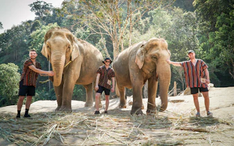 Tourists with elephants at Elephant Jungle Sanctuary, surrounded by forest.