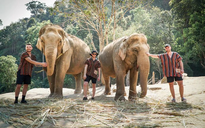 Tourists with elephants at Elephant Jungle Sanctuary, surrounded by forest.