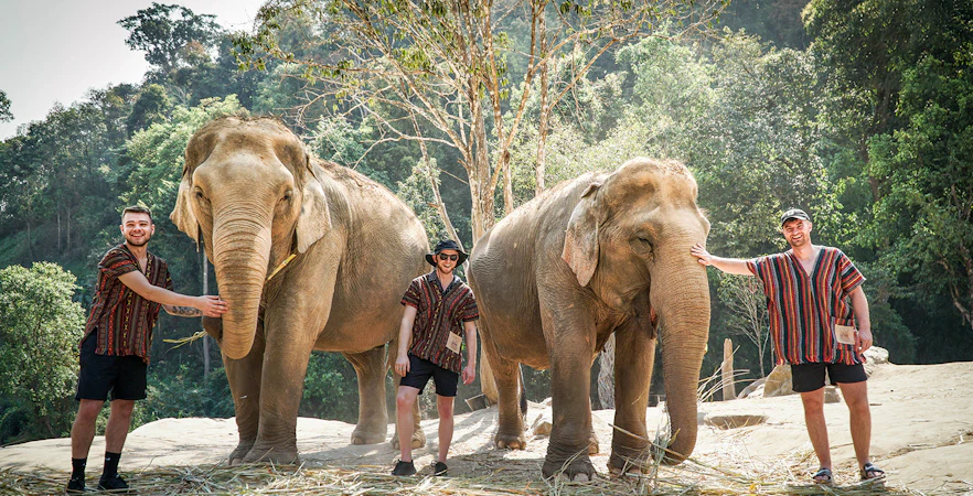 Tourists with elephants at Elephant Jungle Sanctuary, surrounded by forest.