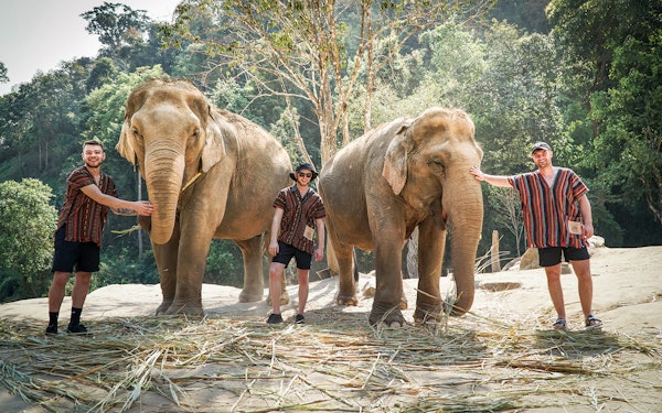Chiang Mai: Elephant Jungle Sanctuary and Mama Noi Thai Cooking Class Full Day Tour with Hotel Transfers