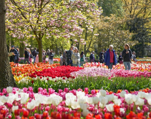 keukenhof tickets