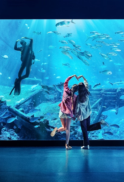 Diver and visitors at S.E.A Aquarium Singapore viewing fish and shipwreck exhibit.
