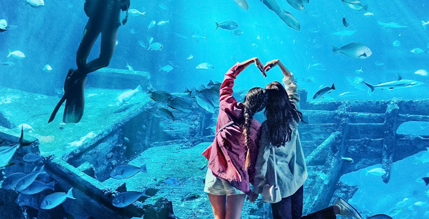 Oceanariul din Singapore