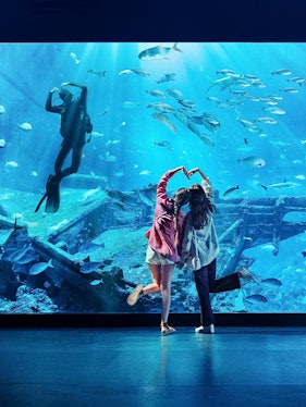 Diver and visitors at S.E.A Aquarium Singapore viewing fish and shipwreck exhibit.