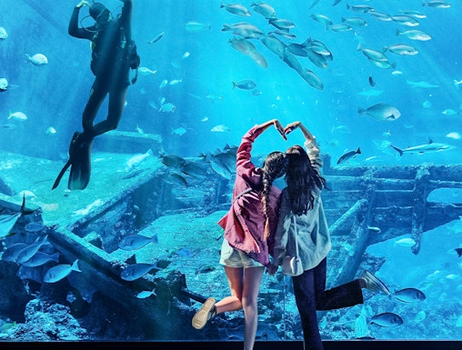 Diver and visitors at S.E.A Aquarium Singapore viewing fish and shipwreck exhibit.