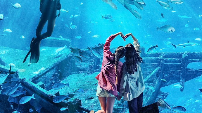 Diver and visitors at S.E.A Aquarium Singapore viewing fish and shipwreck exhibit.
