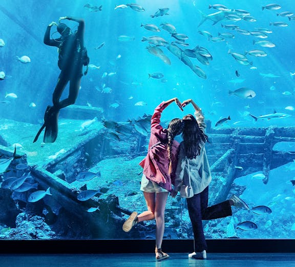 Diver and visitors at S.E.A Aquarium Singapore viewing fish and shipwreck exhibit.