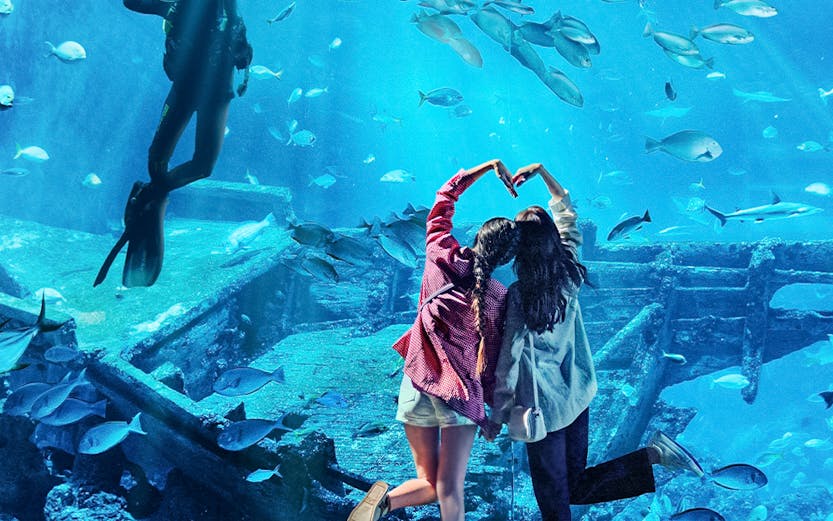 Diver and visitors at S.E.A Aquarium Singapore viewing fish and shipwreck exhibit.