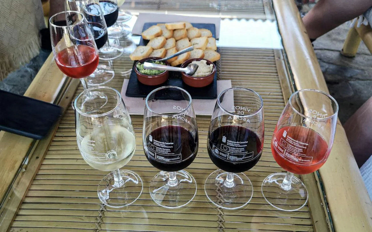 Wine tasting setup with glasses of red, white, and rosé wine, accompanied by Canarian tapas in Tenerife.