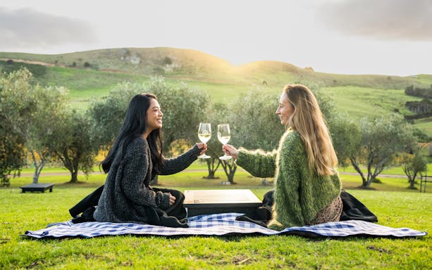 Tourists enjoying wine with mountain view in the background.