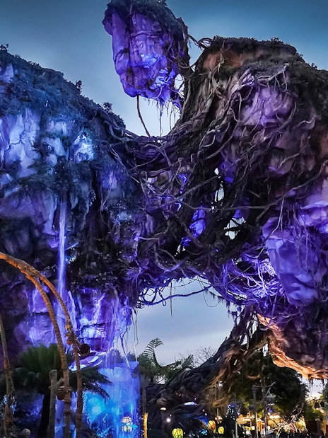 Floating mountains in Pandora at Disney's Animal Kingdom, Orlando, part of Na’vi River Journey ride.