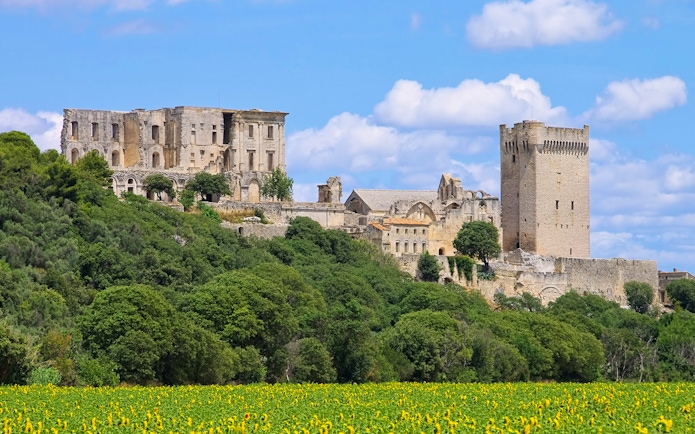 Montmajour Abbey with stone tower and ruins surrounded by greenery and sunflowers.