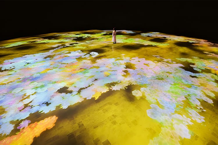 TeamLab Phenomena Abu Dhabi digital art installation with vibrant light displays in a dark exhibition space.