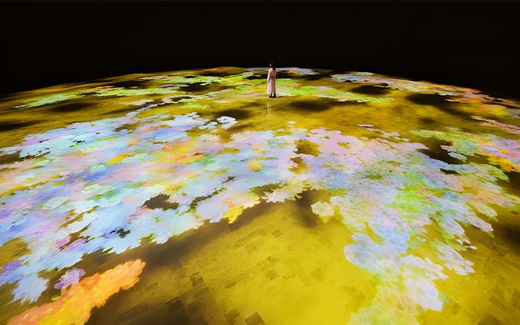 Inside teamLab Phenomena: Abu Dhabi's Mind-Bending Art Universe