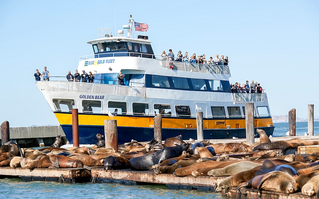 Tour boat near sea lions on San Francisco Bay during Alcatraz cruise.