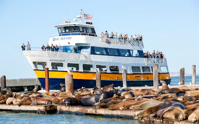 Tour boat near sea lions on San Francisco Bay during Alcatraz cruise.